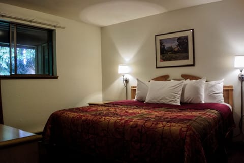 Premium Suite, 1 Bedroom, Garden View (King Suite) | Desk, laptop workspace, blackout drapes, iron/ironing board