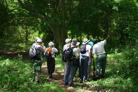 Hiking