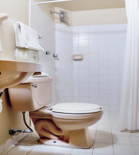 Standard Double Room, 1 Double Bed | Bathroom | Shower, free toiletries, towels, soap