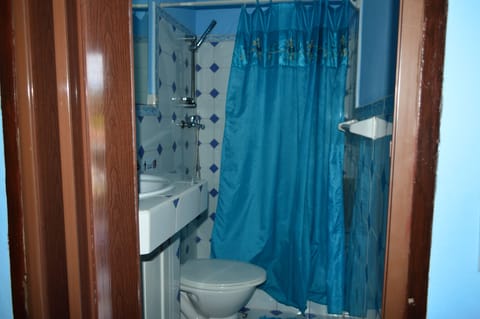 Double or Twin Room | Bathroom | Shower, free toiletries, hair dryer, towels