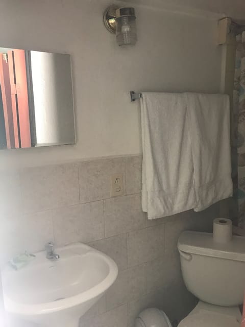 Double or Twin Room | Bathroom | Shower, towels, soap, shampoo