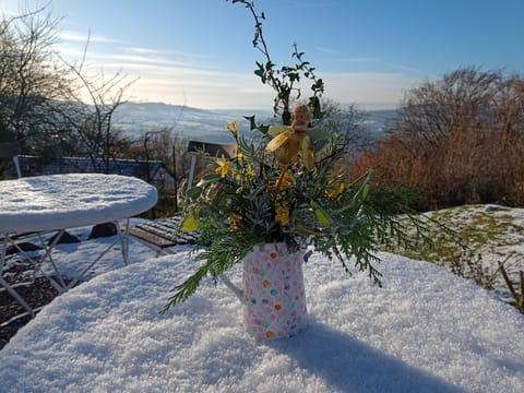 Winter view from the patio