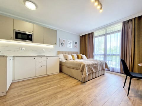 Standard Studio Suite, 1 Queen Bed with Sofa bed | Iron/ironing board, free WiFi, bed sheets