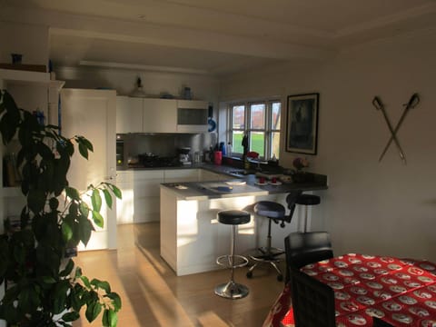 Suite | Shared kitchen | Full-size fridge, microwave, oven, stovetop