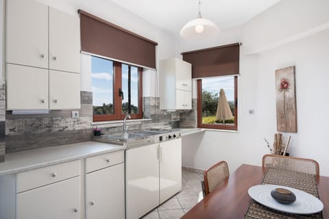 Studio, Sea View | Private kitchen | Fridge, stovetop, coffee/tea maker, electric kettle