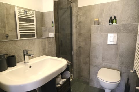 Shower, rainfall showerhead, hair dryer, slippers