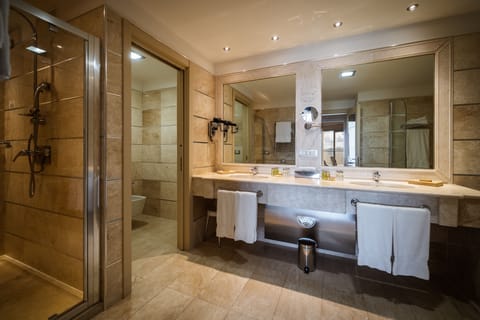 Presidential Room | Bathroom | Combined shower/tub, rainfall showerhead, free toiletries, hair dryer