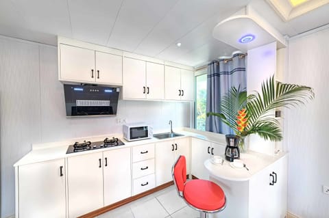 Central View Suite | Private kitchen | Fridge, microwave, oven, stovetop