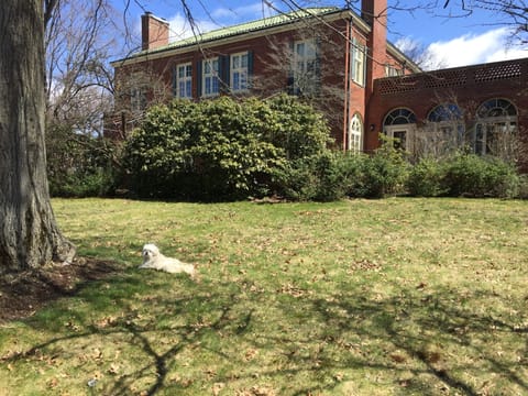 Front yard is massive! 