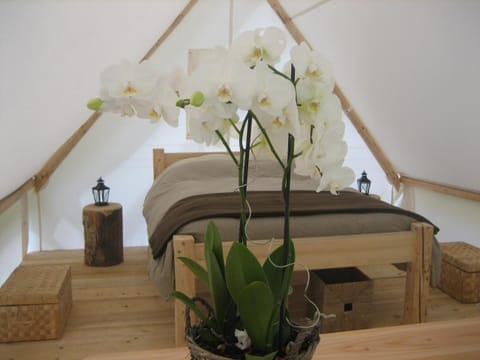 Individually decorated, individually furnished, free WiFi, bed sheets