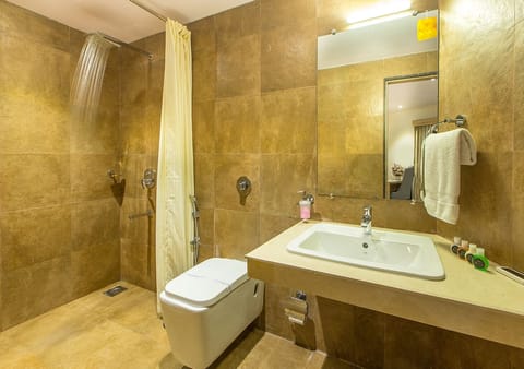 Classic Double Room | Bathroom | Free toiletries