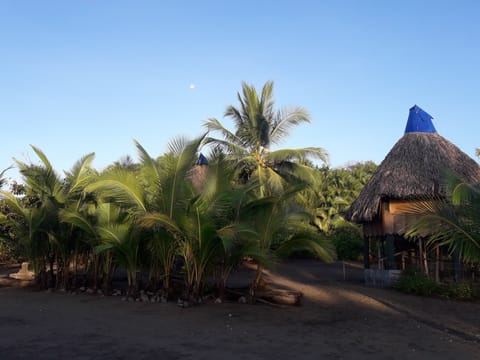 Traditional Cabin, 1 Double Bed, Ocean View, Beachside