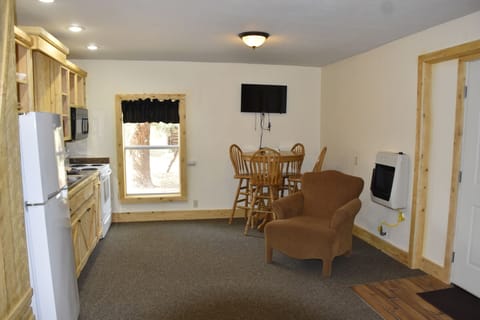 Back living/kitchen area