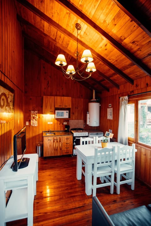 Standard Cabin | Private kitchen | Fridge, microwave, oven, stovetop