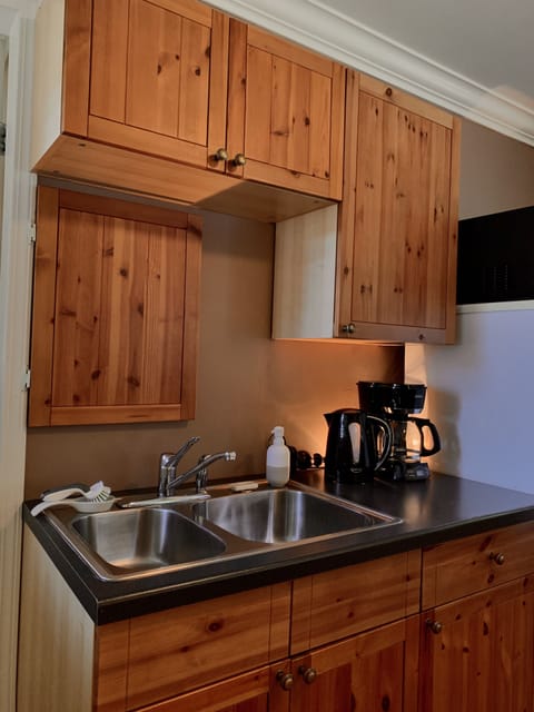 Premium Kitchenette Room, 1 King, River View | Private kitchenette | Microwave, coffee/tea maker, electric kettle