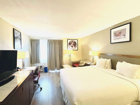 Business Room, 1 King Bed, Non Smoking | Desk, iron/ironing board, free cribs/infant beds, rollaway beds