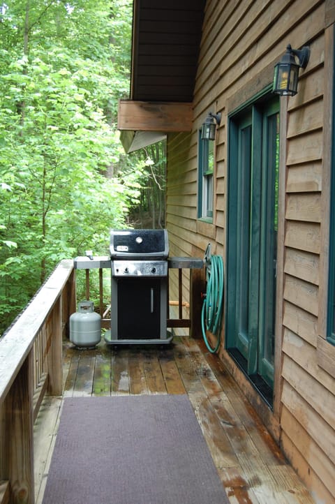 Weber gas grill just outside the kitchen door