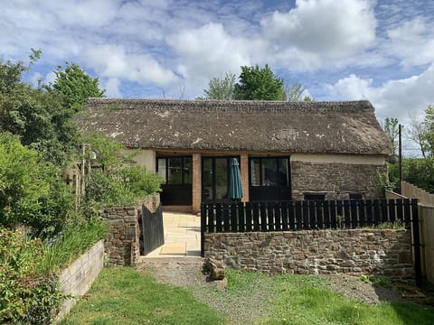 Grassy area in front of garden