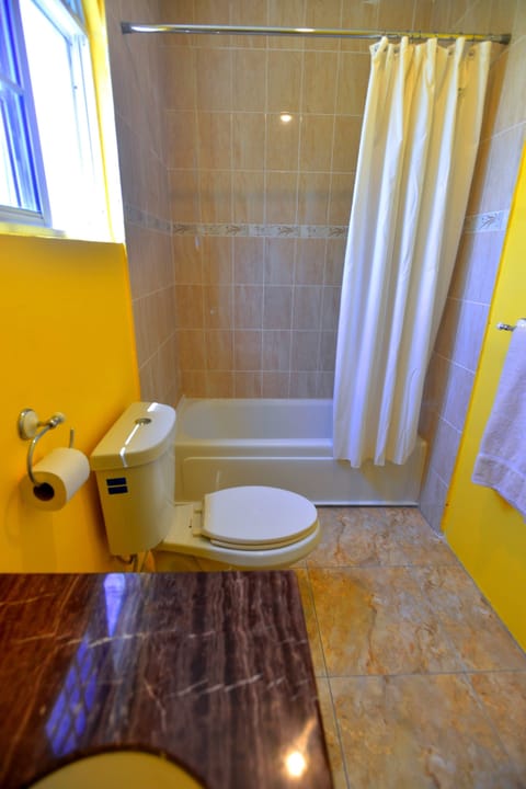 Premium Villa, Ocean and Pool View | Bathroom shower