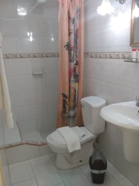 Double or Twin Room | Bathroom | Hair dryer, towels, soap, toilet paper