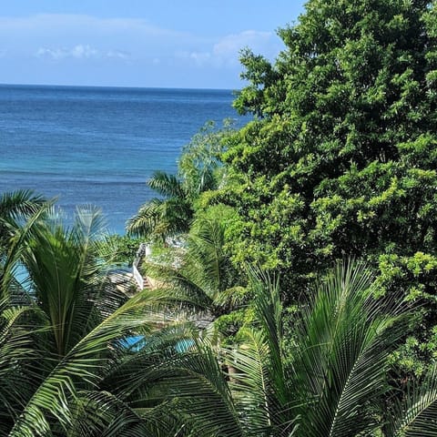 Beach/ocean view