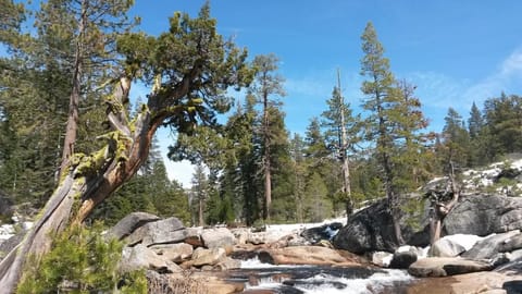 The Stanislaus River is just minutes away from Karock Cabin. Fish, picnic, play in the water, relax on a rock and enjoy the scenery.