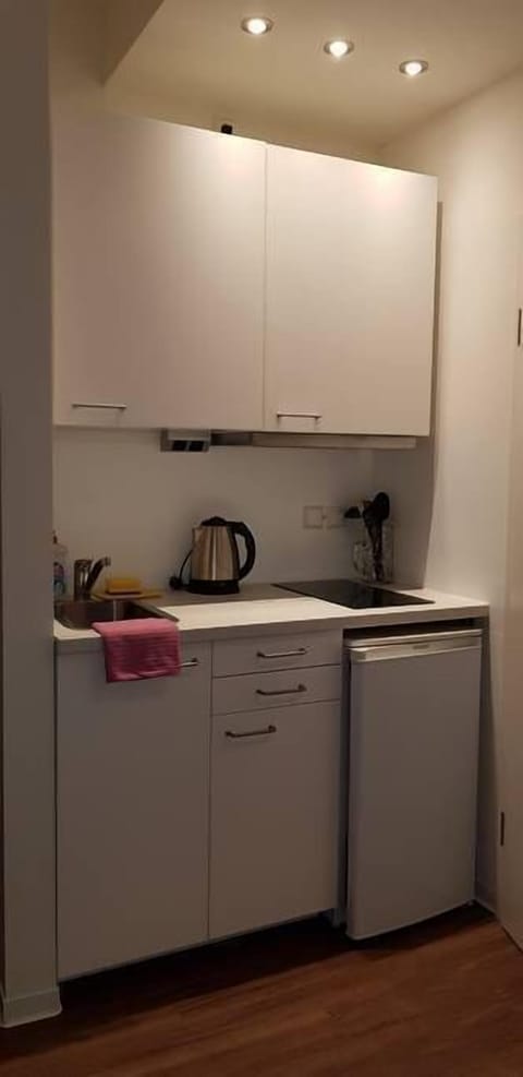 Mini-fridge, microwave, stovetop, electric kettle