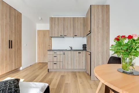 Studio Suite (13B) | Private kitchenette | Fridge, stovetop, dishwasher, electric kettle