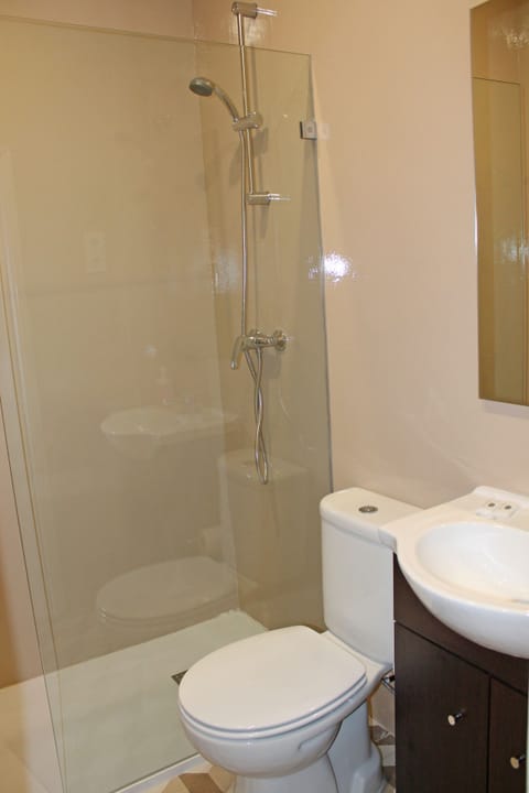 Triple Room, Private Bathroom | Bathroom | Hair dryer, towels