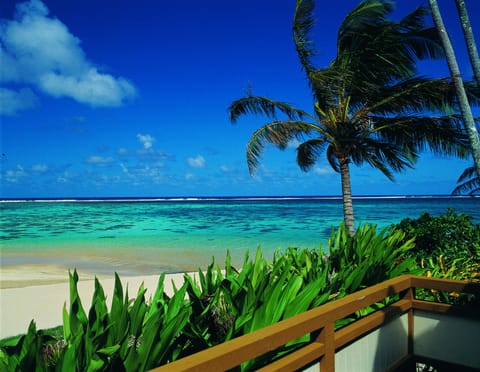 Studio, Beachfront | View from room