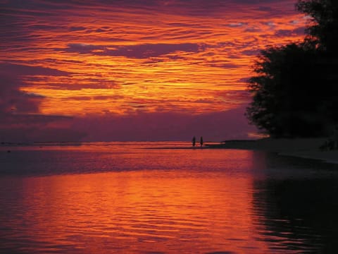 Private beach, white sand, snorkeling, kayaking