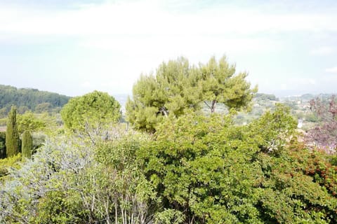 One of the views from Villa 13