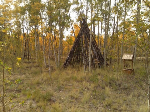 TP in front of cabin. Visible from the front room picture window.