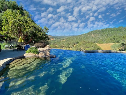 Come swim with us...