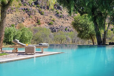 Outdoor pool, sun loungers