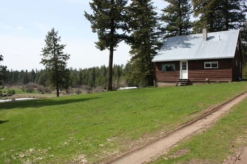 There is beauty all around!