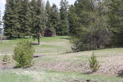 Looking back at cabin from the ponds