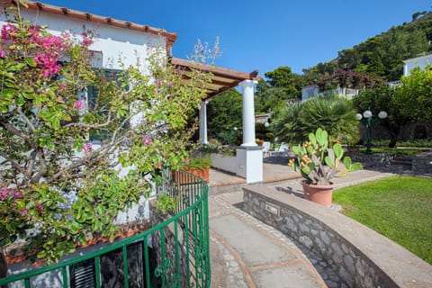 Classic Room | Garden view