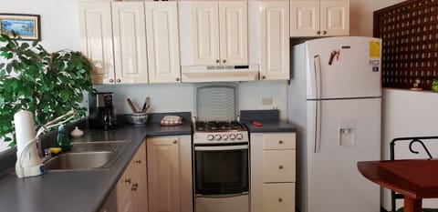 Deluxe House, 1 Queen Bed | Private kitchen | Fridge, microwave, oven, stovetop