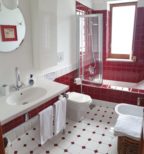 Panoramic Double Room, Private Bathroom (External) | Bathroom | Shower, rainfall showerhead, hair dryer, bidet