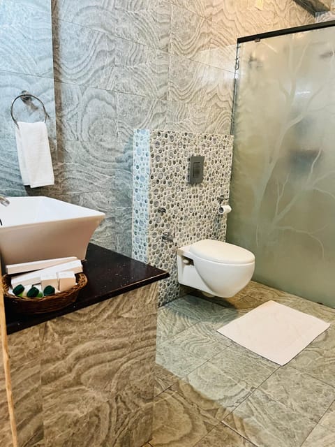 Premium Room | Bathroom | Shower, rainfall showerhead, designer toiletries, hair dryer