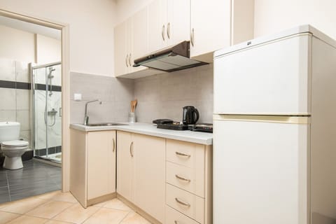 Economy Family Apartment | Private kitchen | Fridge, electric kettle, toaster, dining tables