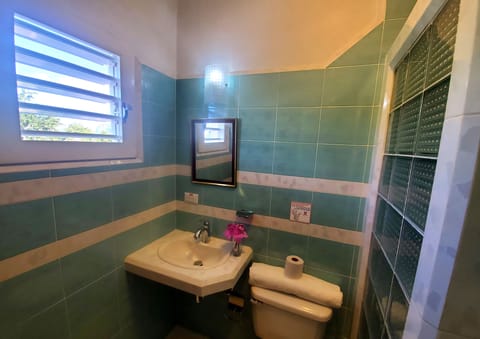 Panoramic Apartment, Mountain View | Bathroom | Rainfall showerhead, hair dryer, towels, soap