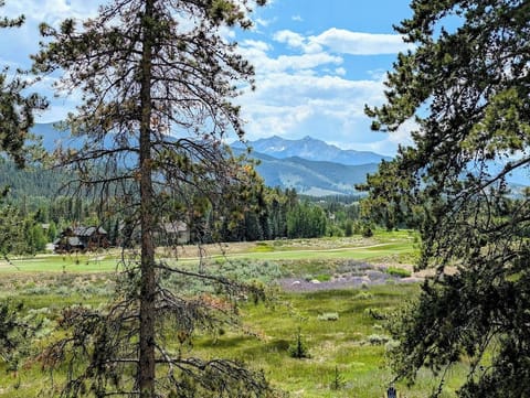 Outstanding mountain views #summer