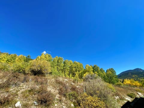 Backside patio fall views #fall