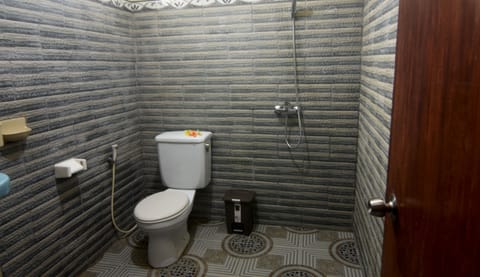 Shower, bidet, towels, soap