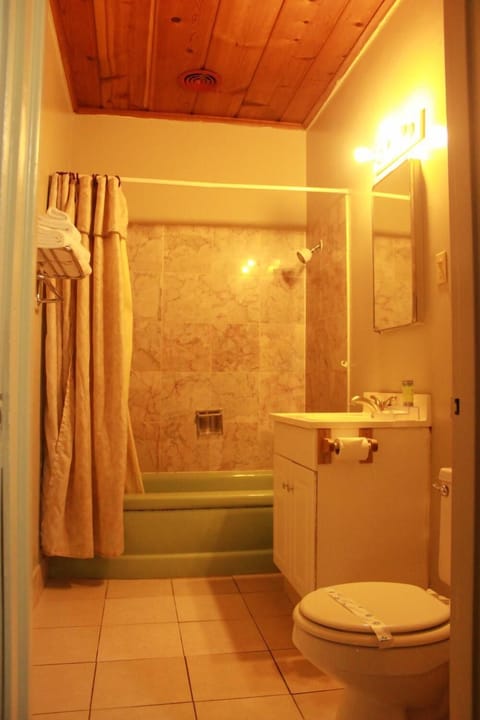 Combined shower/tub, towels