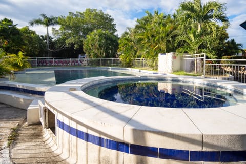 Outdoor pool, sun loungers