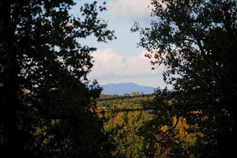 A peek of the mountains serves as a reminder of the attractions close by.