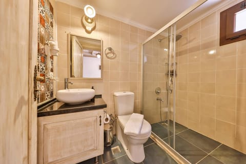 Standard Studio | Bathroom | Shower, hair dryer, towels, soap